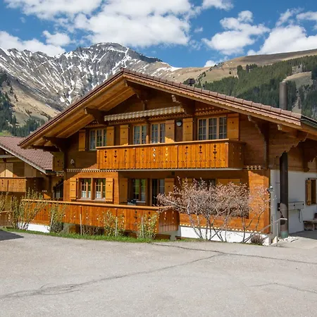 Daire Hahnenmoosstrasse Adelboden